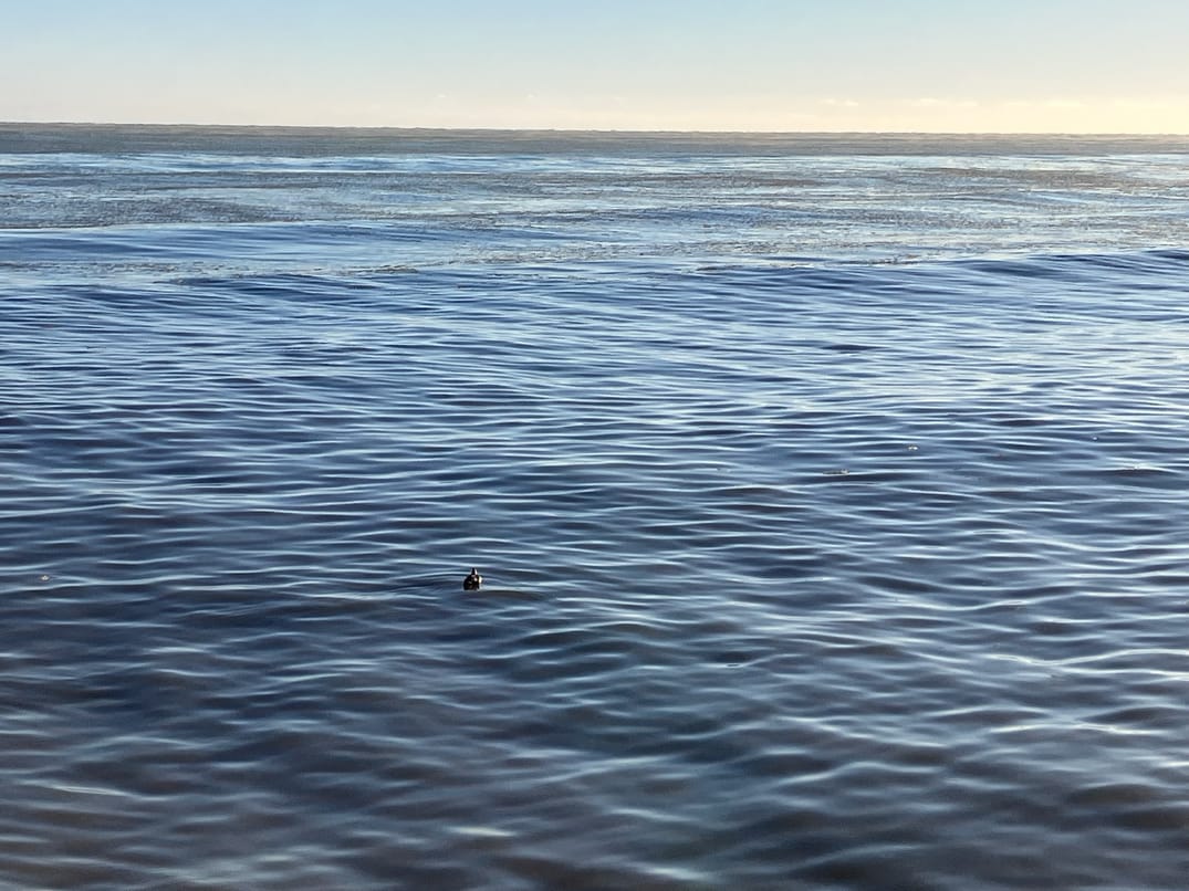 On the Great Lakes and Lost Waterways