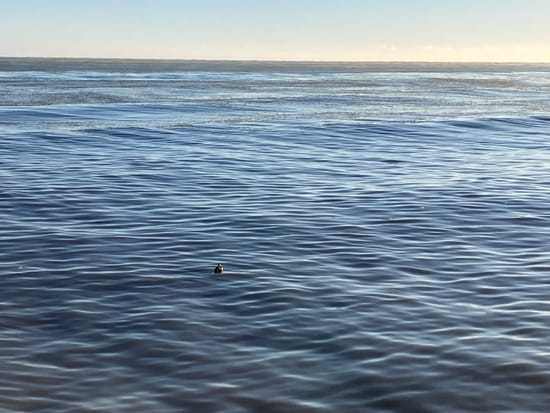 Image of: On the Great Lakes and Lost Waterways