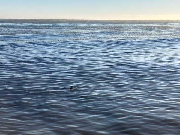 On the Great Lakes and Lost Waterways